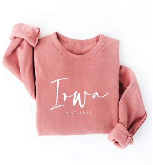 Pink Sweatshirt