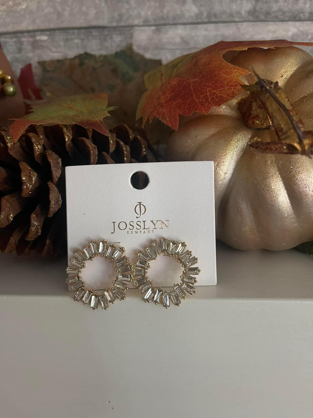 Beautiful Crystal Circle Earrings